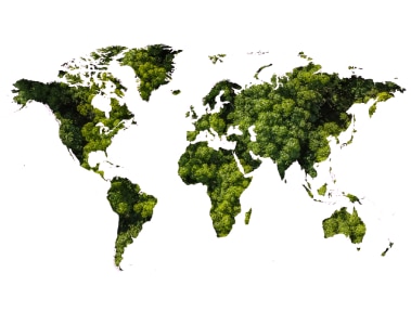 Envalior launches a new range of sustainable Pocan® PBT compounds based on bio-circular BDO