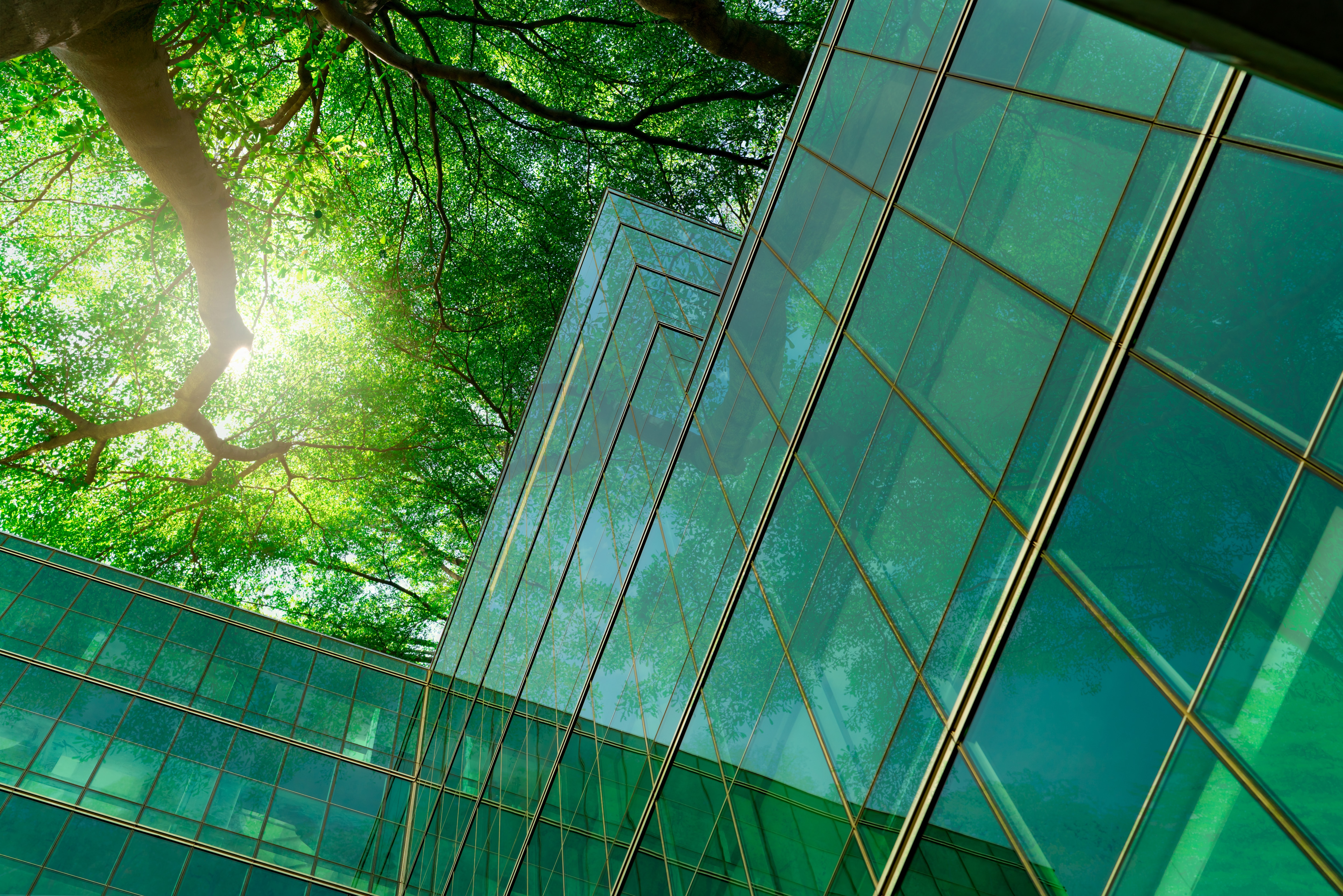 Envalior announces sustainability ambitions to decrease carbon emissions 