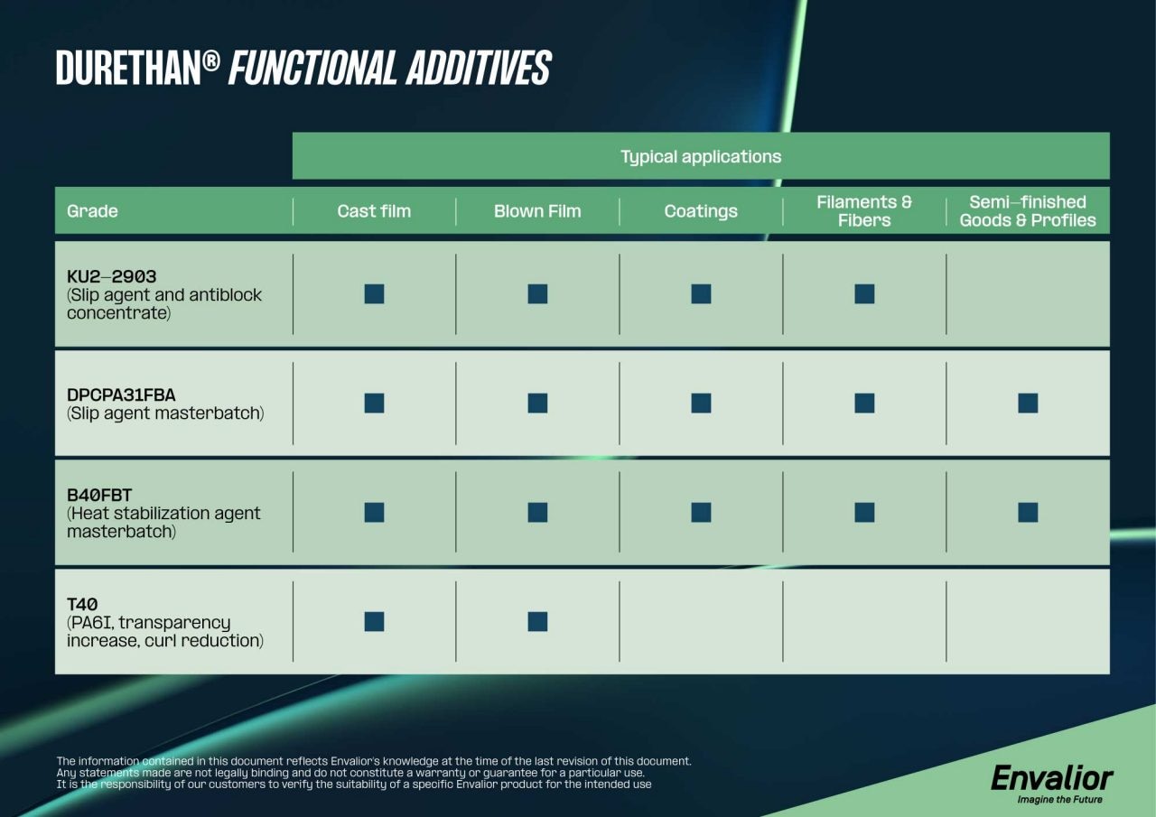 PA Functional Additives Envalior