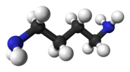 Molecular formula C4H12N2