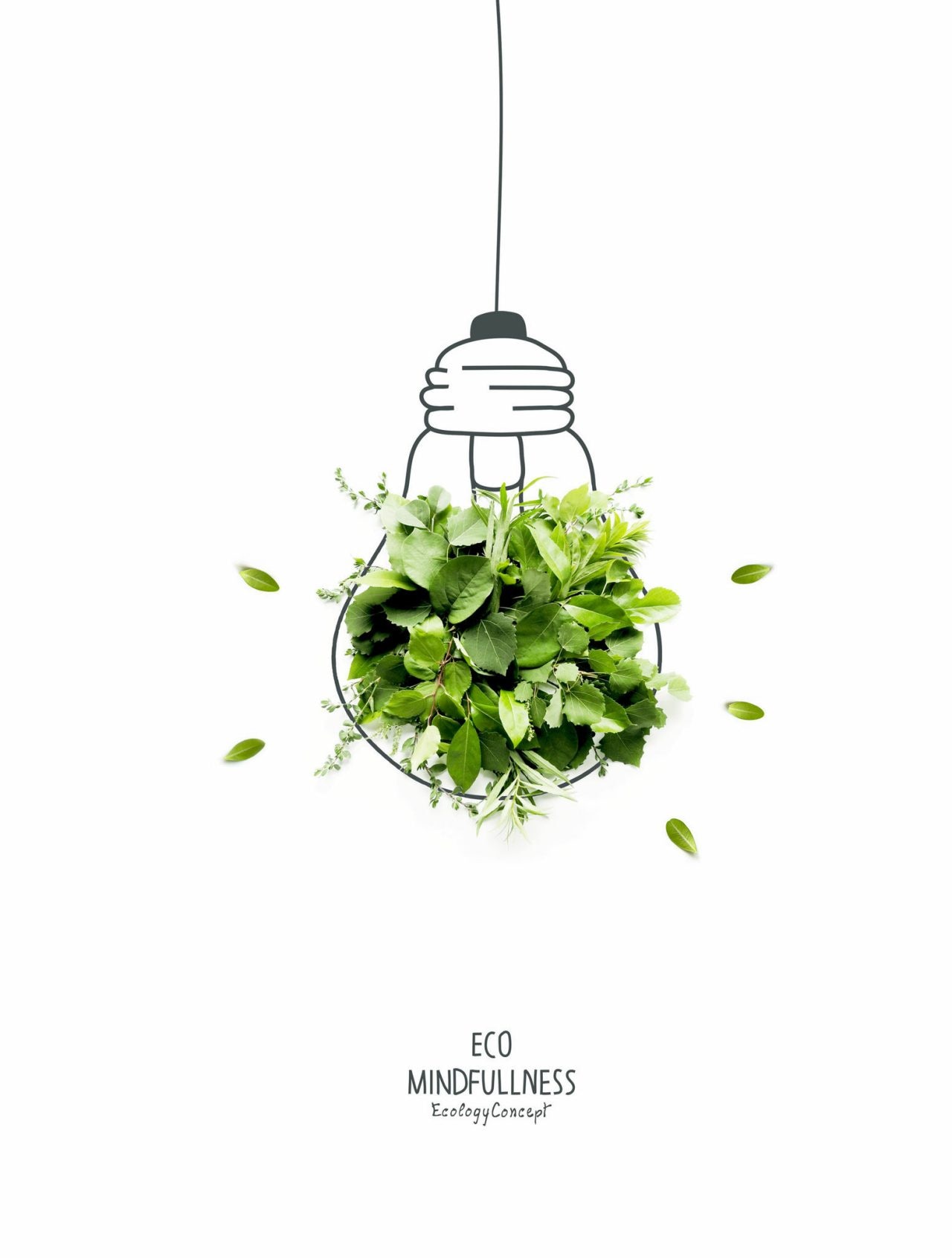 Energy saving eco lamp, made with green sprout and leaves,isolated on white background. LED lamp with green leaf. Minimal nature concept.Think Green.Ecology Concept. Environmentally friendly planet., Energy saving eco lamp, made with green sprout and leaves,isolat