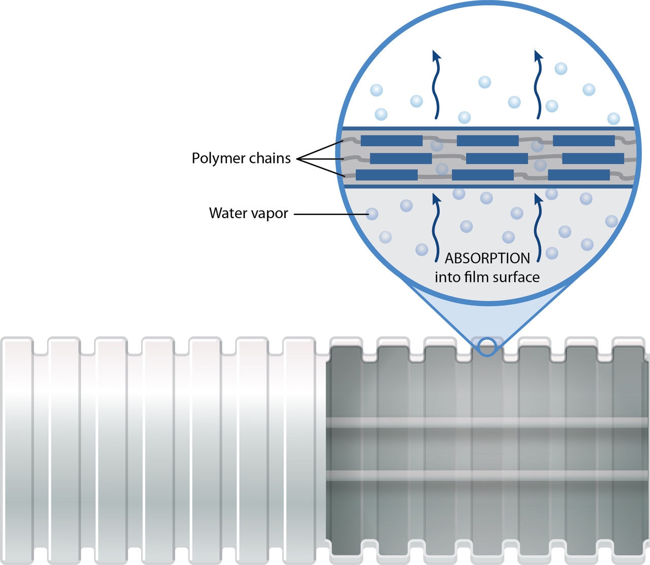 Cross-section6