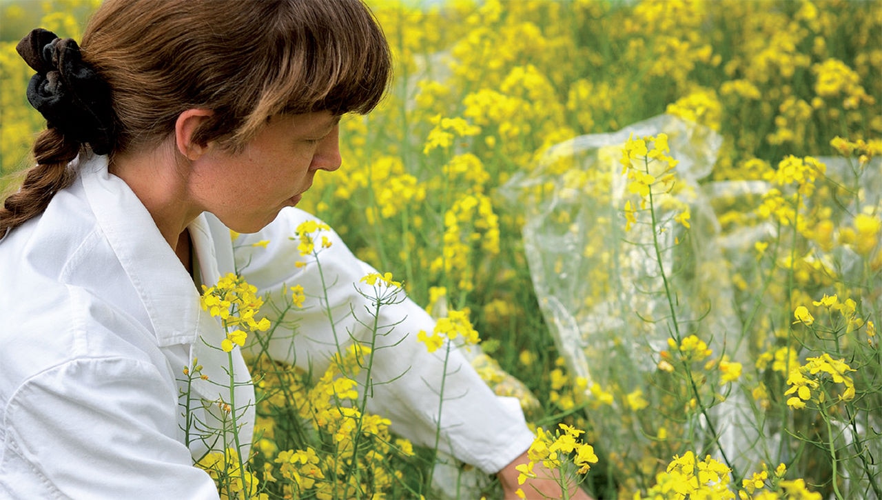 Arnitel Eco - the next generation of bio-performance materials