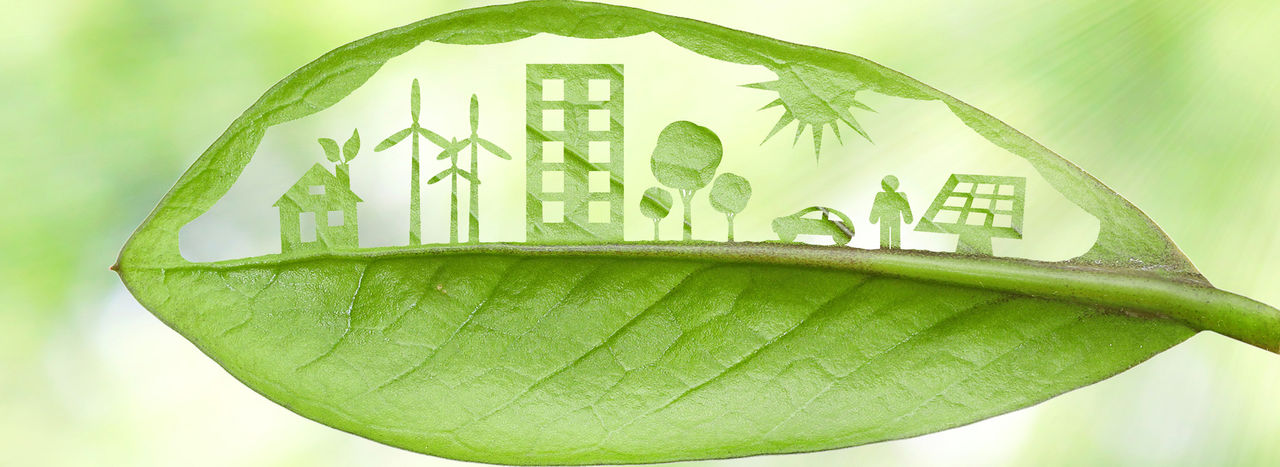 EcoPaXX